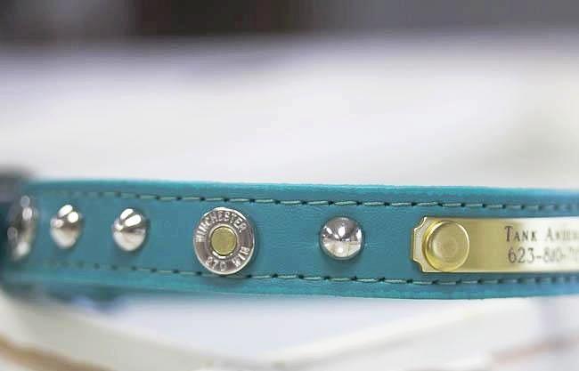 Winchester Dog Collar Personalized