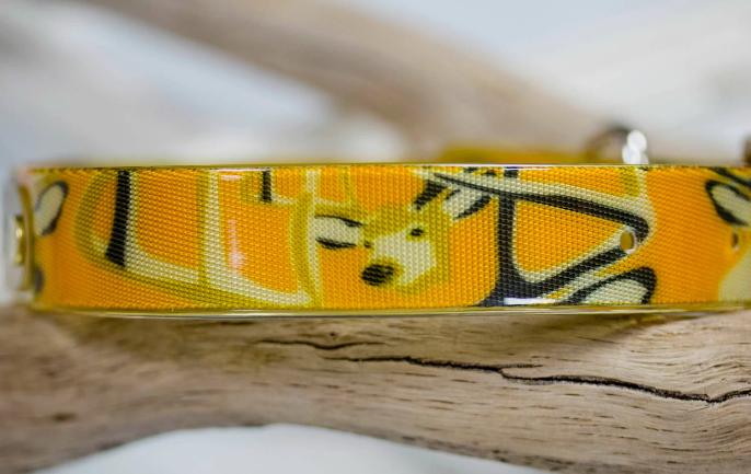 Camouflage Waterproof Collar with Personalized Name Plate