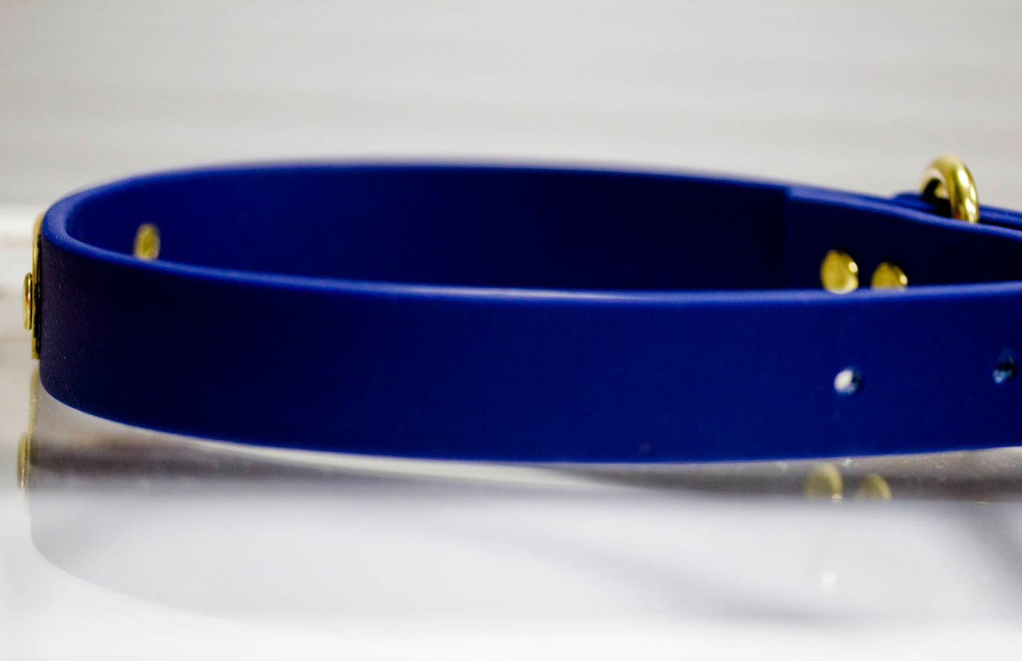 Navy Blue Waterproof Collar