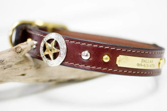 Texas Star Leather Collar with nickel and brass spots and personalized name plate