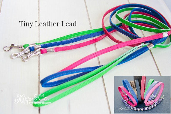 small leather leash