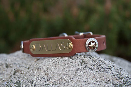 Texas Star Leather Collar